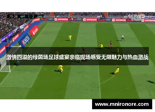激情四溢的绿茵场足球盛宴亲临现场感受无限魅力与热血激战