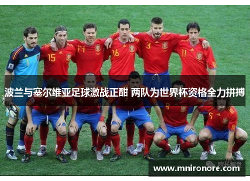 波兰与塞尔维亚足球激战正酣 两队为世界杯资格全力拼搏